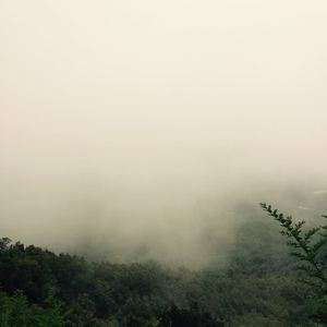 美丽母亲们的哀羞作者是谁写的
